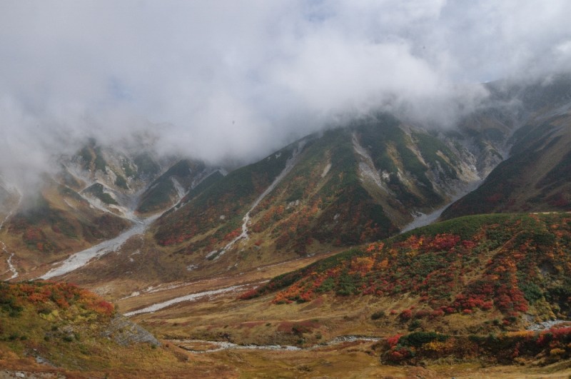 DSC_8485.jpg