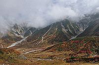 DSC_8485_thumb.jpg