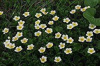 DSC_1630_thumb.jpg