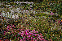 A00_8708_thumb.jpg