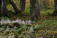 A00_8716_thumb.jpg