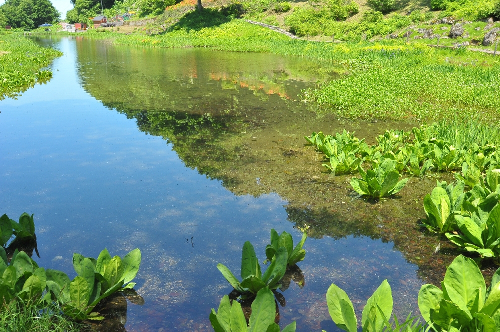 DSC_9403.JPG