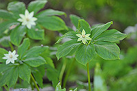 DSC_9417_thumb.jpg