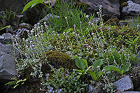 DSC_9425_thumb.jpg