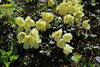 DSC_9436_thumb.jpg
