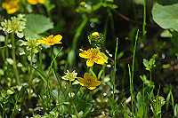 DSC_9468_thumb.jpg